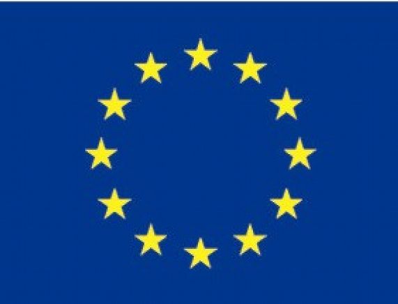 371958185.jpg