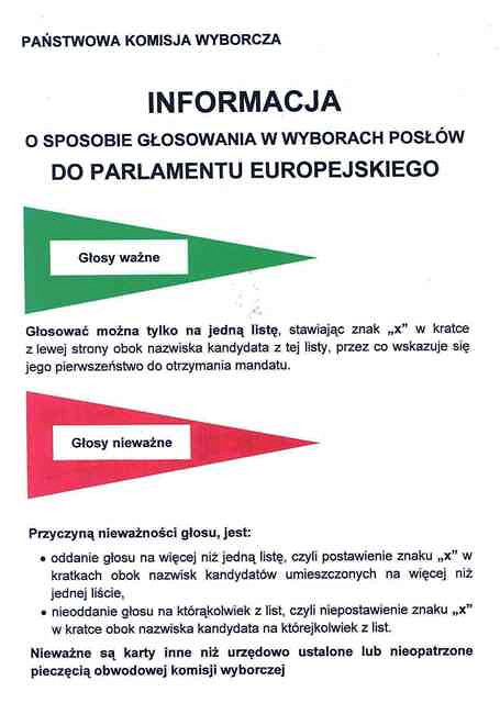 Wybory do Parlamentu Europejskiego - zdjęcie w treści 