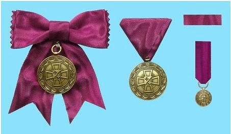 Medale Międzynarodowego Korpusu Świętego Łazarza dla krośnieńskich szkół - zdjęcie w treści  nr 4