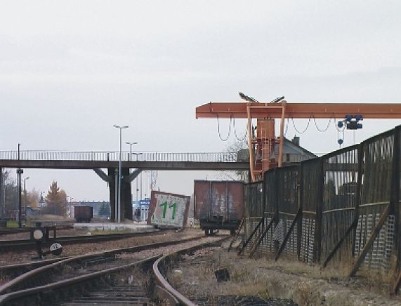 706364705.jpg