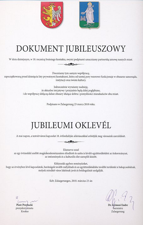 Dzień Przyjaźni Polsko-Węgierskiej BUDAPESZT 2010 - zdjęcie w treści  nr 3