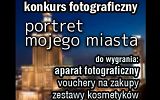 53003324.jpg