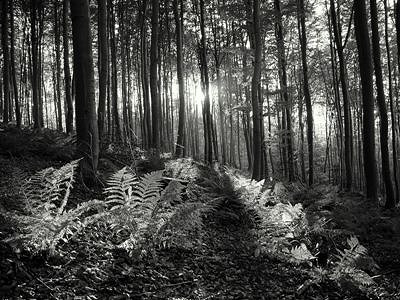 Dwie wystawy fotografii w RCKP - zdjęcie w treści nr 3
