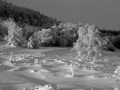 Dwie wystawy fotografii w RCKP - zdjęcie w treści nr 2