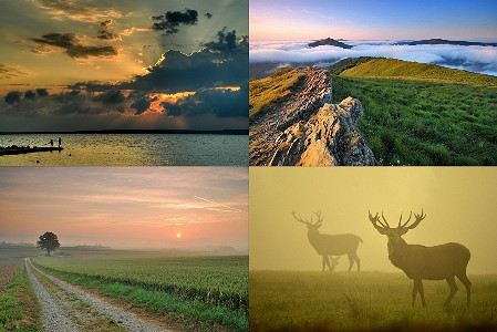 Wystawa fotograficzna Tomasza Okoniewskiego „ta chwila… ten moment…” - zdjęcie w treści 