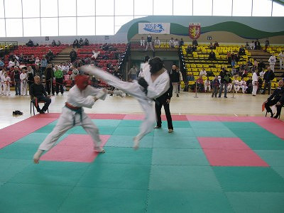 IV Ogólnopolski Turniej Karate Kyokushin Dzieci i Młodzieży - zdjęcie w treści 