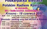 1300517523.jpg