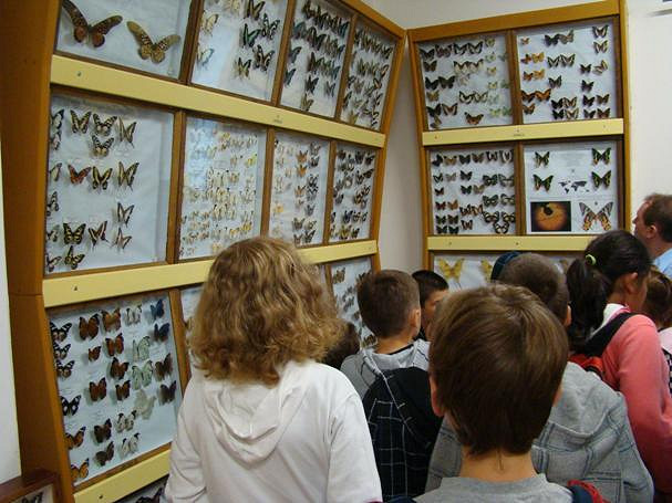Kraków zdobyty przez dzieci z Oratorium! - zdjęcie w treści nr 1