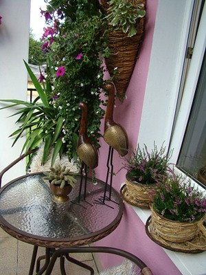 Najpiękniejszy ogród 2012 - zdjęcie w treści  nr 3