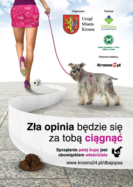 Grand Prix dla Krosna - zdjęcie w treści 