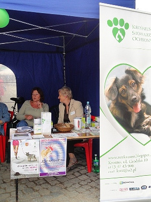 DNI KROSNA Z ORGANIZACJAMI POZARZĄDOWYMI - zdjęcie w treści  nr 4