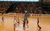 515151208.jpg