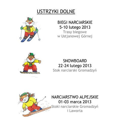 XIX Ogólnopolska Olimpiada Młodzieży w Sportach Zimowych PODKARPACKIE 2013 - zdjęcie w treści 