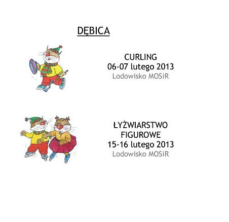 XIX Ogólnopolska Olimpiada Młodzieży w Sportach Zimowych PODKARPACKIE 2013 - zdjęcie w treści  nr 2