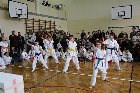 IV Mikołajkowe Mistrzostwa Krośnieńskiego Klubu Kyokushin Karate - zdjęcie w treści  nr 3