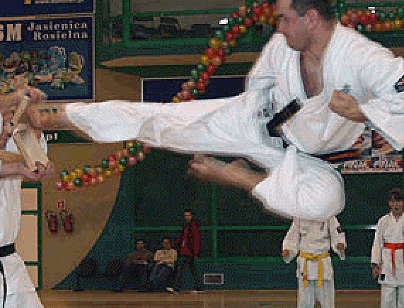 11620987.gif