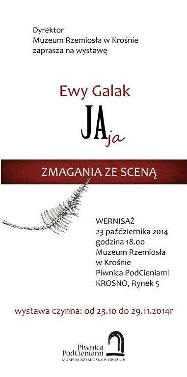 Zapraszamy na wystawę Ewy Galak - zdjęcie w treści  nr 1