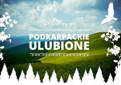 Wybieramy Podkarpackie Ulubione – wyniki cząstkowe - zdjęcie w treści 