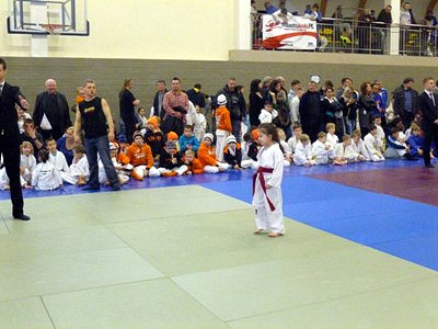 IV Otwarte Mistrzostwa Jasła w Judo - zdjęcie w treści  nr 1