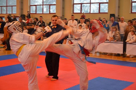 Turniej karate w Rudniku - zdjęcie w treści  nr 2