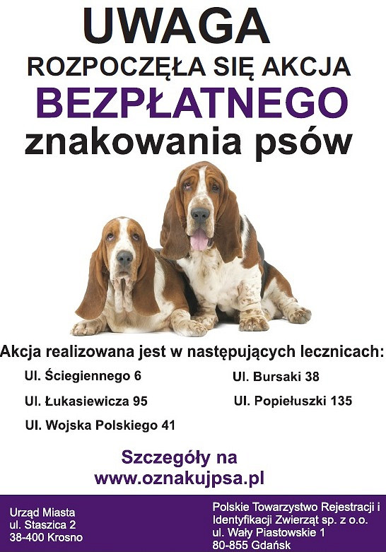 Oznakuj swojego psa. Rusza akcja bezpłatnego znakowania czworonogów - zdjęcie w treści 