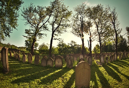 FOTOGRAFICZNIE SMAKOWAŁY POGRANICZE - zdjęcie w treści  nr 1