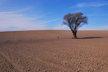 FOTOGRAFICZNIE SMAKOWAŁY POGRANICZE - zdjęcie w treści  nr 2