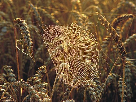 Wystawa poplenerowa - zdjęcie w treści  nr 4