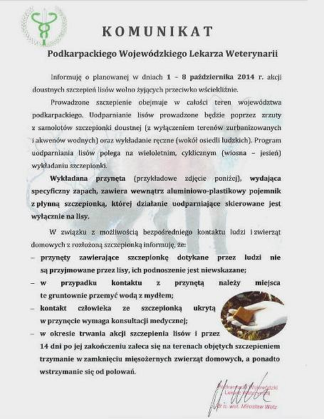 Jesienna akcja szczepienia lisów  - zdjęcie w treści 