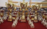 II Puchar Podkarpacia - Karate Krosno 2015