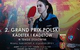 Plakat - Tenis stołowy