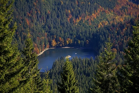 WYSTAWY W REGIONALNYM CENTRUM KULTUR POGRANICZA W KROŚNIE - zdjęcie w treści  nr 7