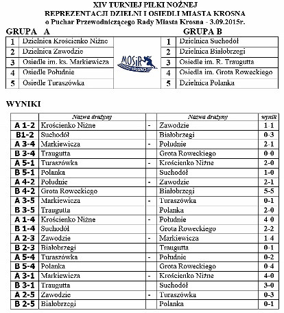 XIV Turniej Piłki Nożnej Reprezentacji Dzielni i Osiedli Miasta Krosna - zdjęcie w treści 