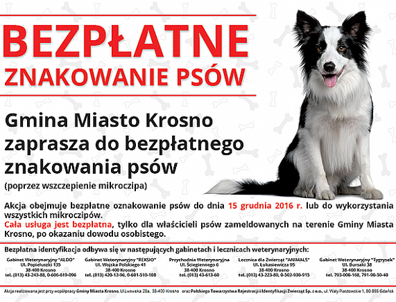 Bezpłatne czipowanie psów