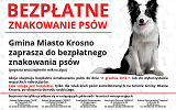 Bezpłatne czipowanie psów