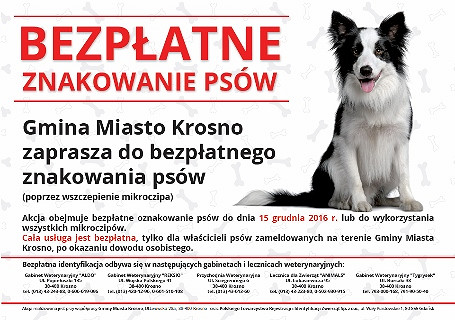 Bezpłatne czipowanie psów - zdjęcie w treści 