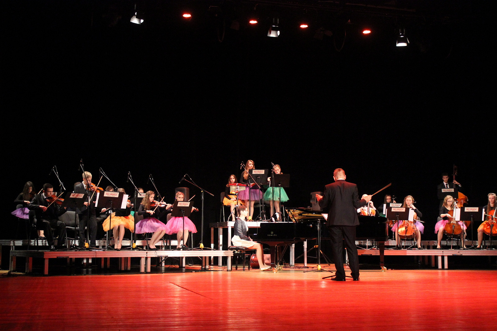 Koncert z okazji Dnia Matki w krośnieńskiej PRO MUSICA - zdjęcie w treści 