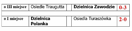 Turniej Plażowej Piłki Nożnej dzielnic i osiedli Miasta Krosna - zdjęcie w treści  nr 3