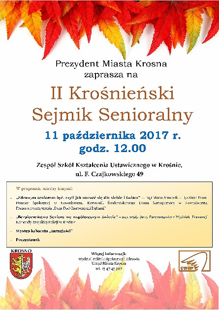 II Krośnieński Sejmik Senioralny - zdjęcie w treści 