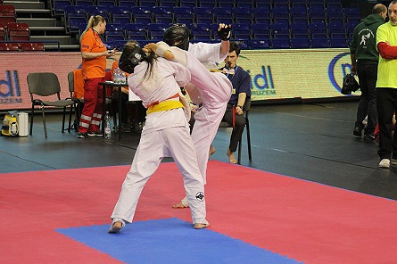 Siedem medali w Budapeszcie dla KKK Kyokushin - zdjęcie w treści 