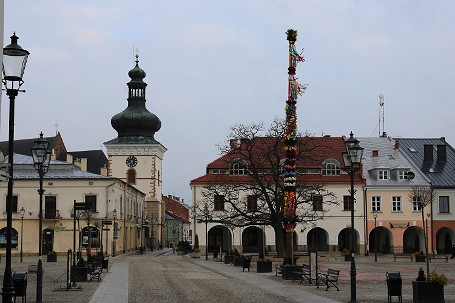 Konkurs na zdjęcie z palmą - zdjęcie w treści 