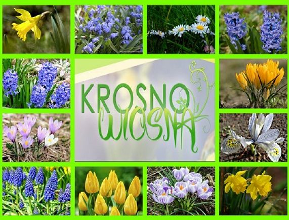 Akcja Krosno Wiosną - fotogaleria