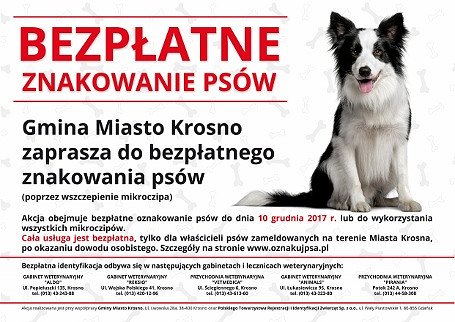 Bezpłatne czipowanie psów - zdjęcie w treści 