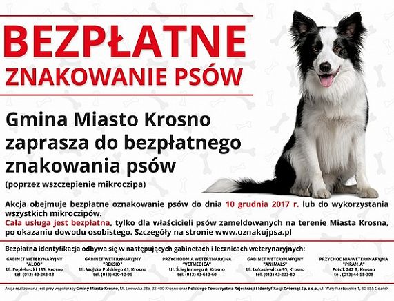 Plakat bezpłatnego czipowania psów