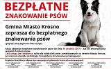 Plakat bezpłatnego czipowania psów