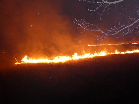 Wypalanie suchych traw trwa nadal - zdjęcie w treści 