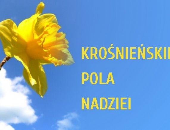 Żonkil - fot. Free vectors