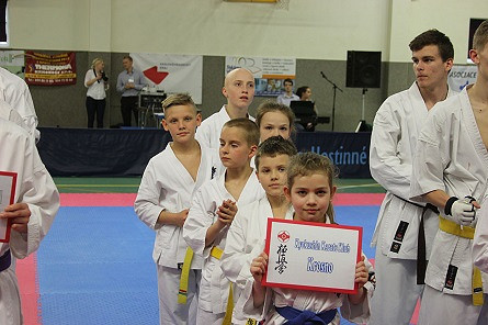 Sukcesy KK Kyokushin Karate na zawodach w Czechach i Zamościu - zdjęcie w treści  nr 8