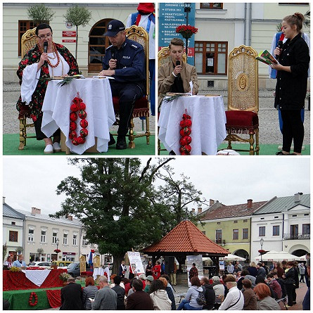 Narodowe Czytanie na krośnieńskim Rynku - zdjęcie w treści  nr 4