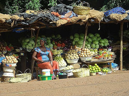 Autostopem i pieszo przez Gwineę Bissau i Konakry... - zdjęcie w treści  nr 2